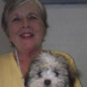 Meet your Posher, Nancy